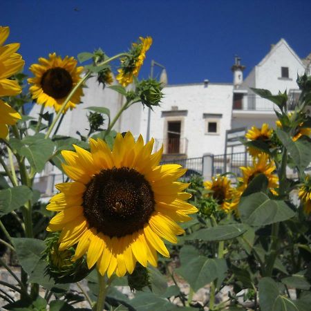 Cuore Dei Venti Martina Franca Ngoại thất bức ảnh