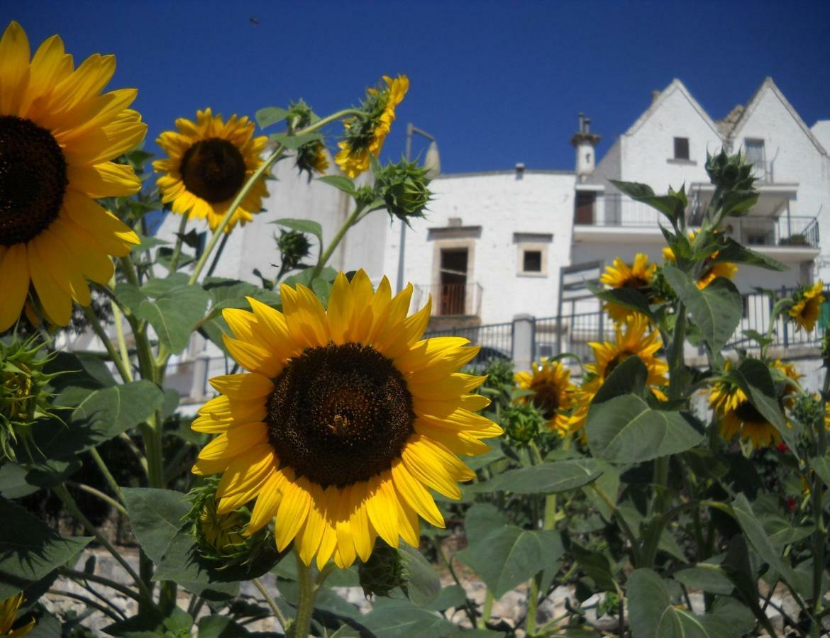 Cuore Dei Venti Martina Franca Ngoại thất bức ảnh